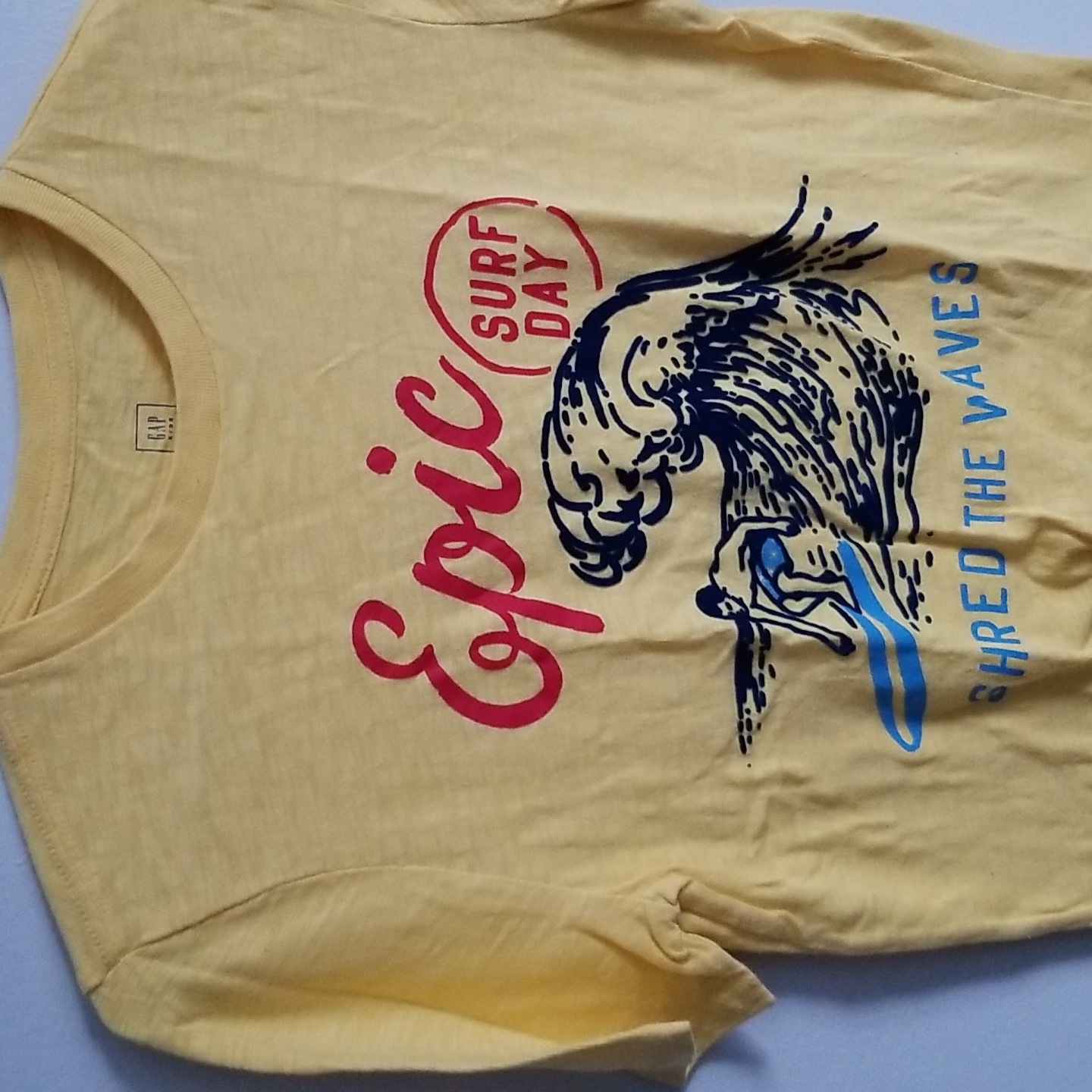 Gap Surf T